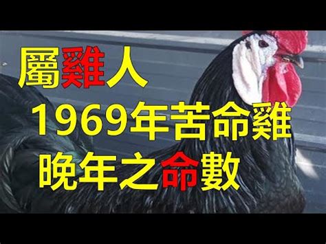 2023屬雞運勢|【雞】詹惟中 2023 生肖整體運勢：事業、愛情、財富、健康 完整。